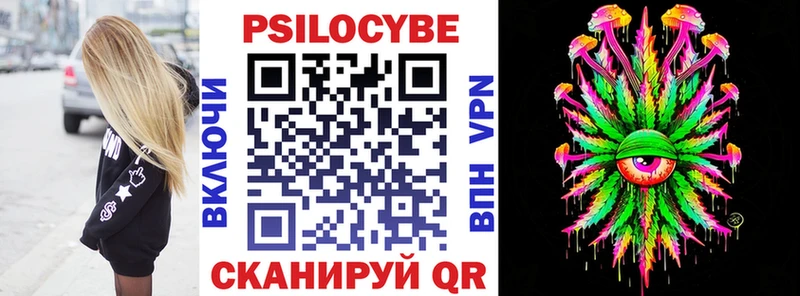 купить наркотики сайты Гвардейск Псилоцибиновые грибы Cubensis